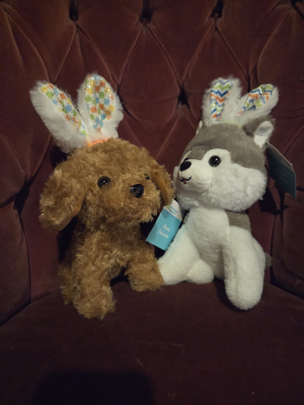 Plush Puppy with Bunny Ears - Brown - Unbranded